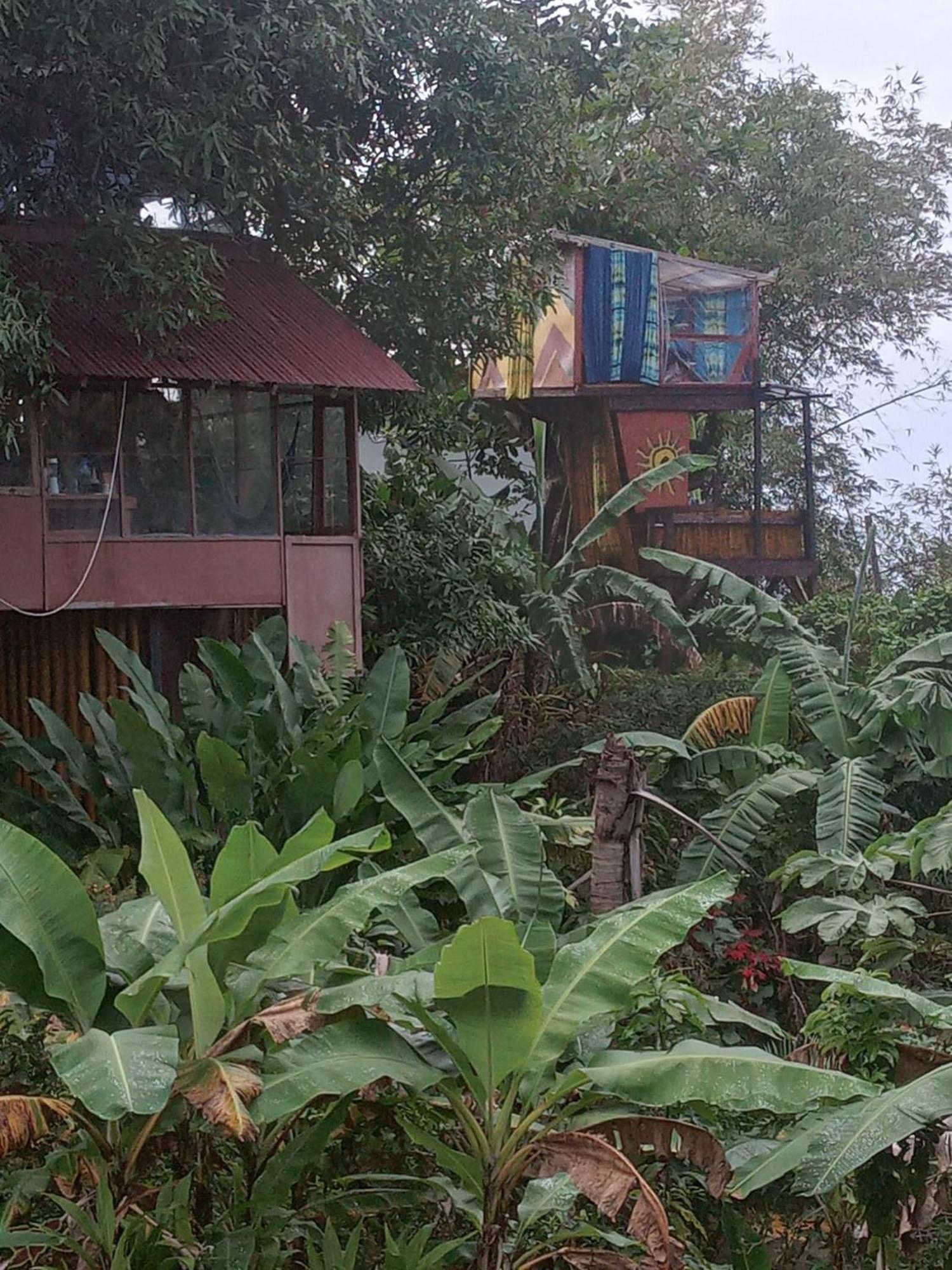 Hotel Barracuda Beach Port Antonio Exterior foto