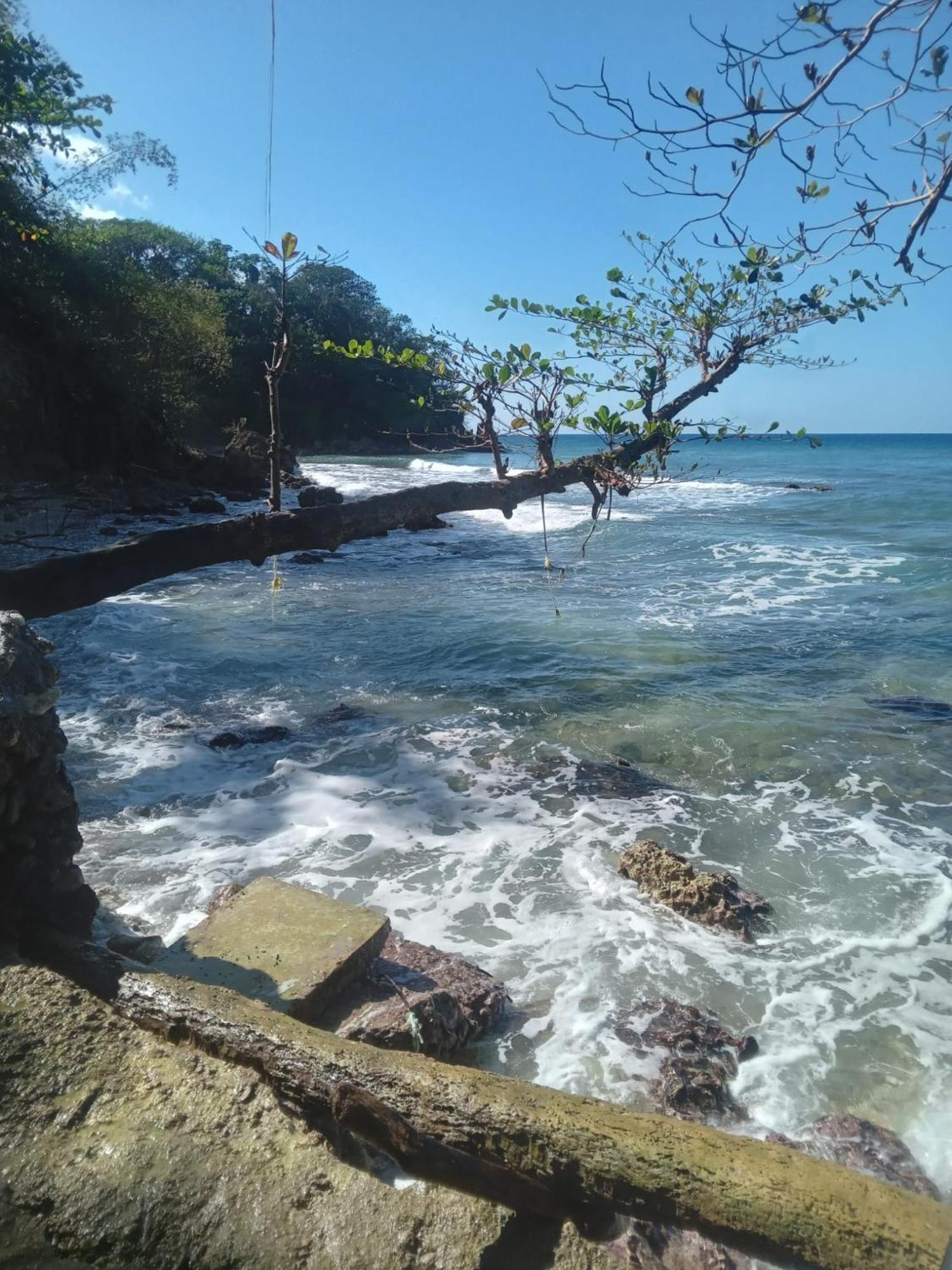 Hotel Barracuda Beach Port Antonio Exterior foto