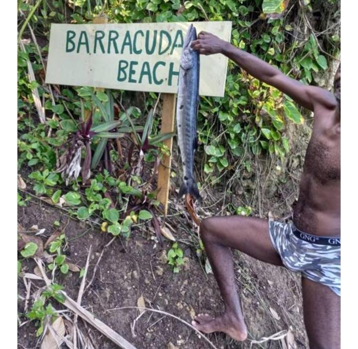 Hotel Barracuda Beach Port Antonio Exterior foto